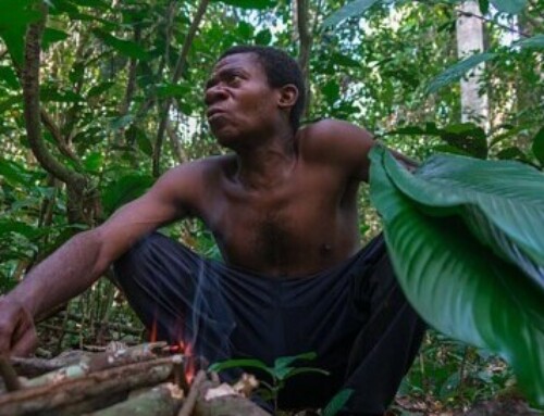 Camerun, natura e popoli da proteggere