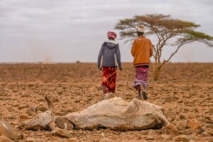 kenya siccità