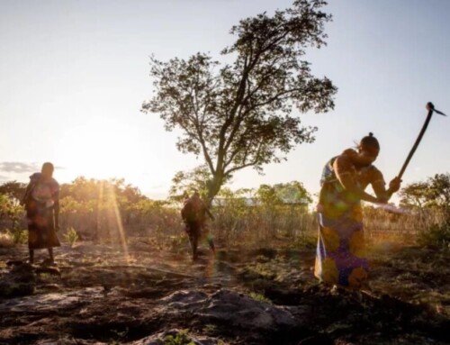 Zambia, natura e popolazioni da proteggere