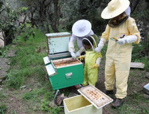 Custodi del creato: un nuovo progetto alla SMA di Genova