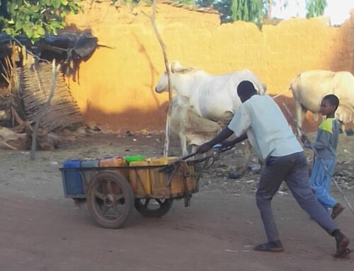 W 022 – Costruzione di un pozzo a energia solare e Formazione di giovani all’orticoltura e alle tecniche agricole in ambienti desertici, utilizzando l’approvvigionamento di acqua potabile in Niger